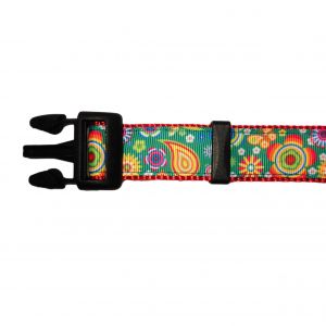 Paisley Flower on Green Dog Collar