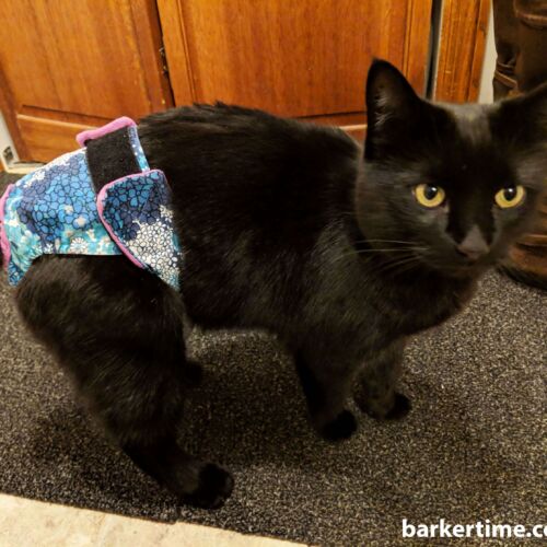 briana beck 2 - barkertime cat diaper cat nappy