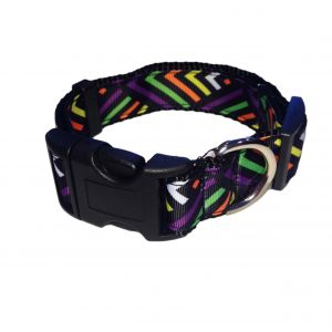 Neon Stripes on Black Collar