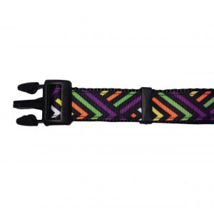 Neon Stripes on Black Collar