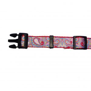 Red Paisley Flower on Gray Collar