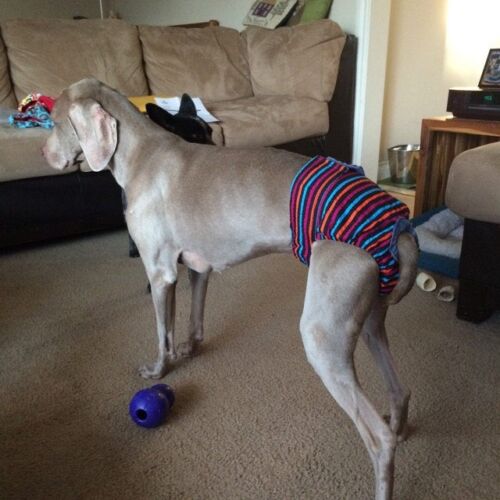 stripes on black - customer stripes on black - customer