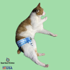 cat diaper stud pants