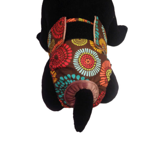 fireworks on brown diaper - model 2 fireworks on brown diaper - model 2