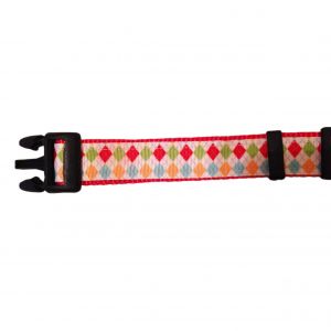 Argyle on White Dog Collar