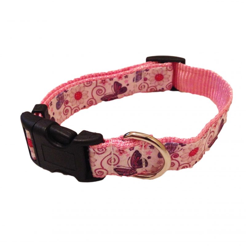 Purple Butterfly on White Dog Collar