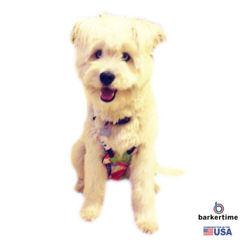 millennial-flowers-diaper-overall-model-2-new millennial-flowers-diaper-overall-model-2-new