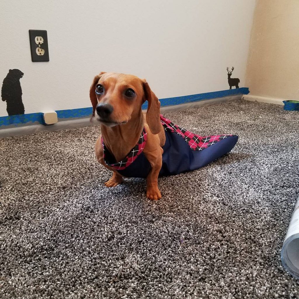 Disabled Dog Aid Drag Bag For Paralyzed Dogs - Wear-Resistant