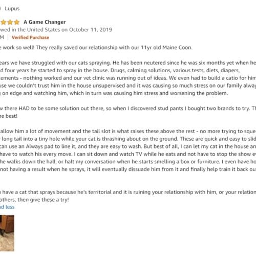 cheetah cat pullup amz review cheetah cat pullup amz review