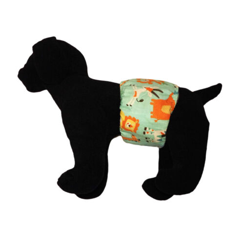 jungle buddies on teal belly band - model 1 jungle buddies on teal belly band - model 1