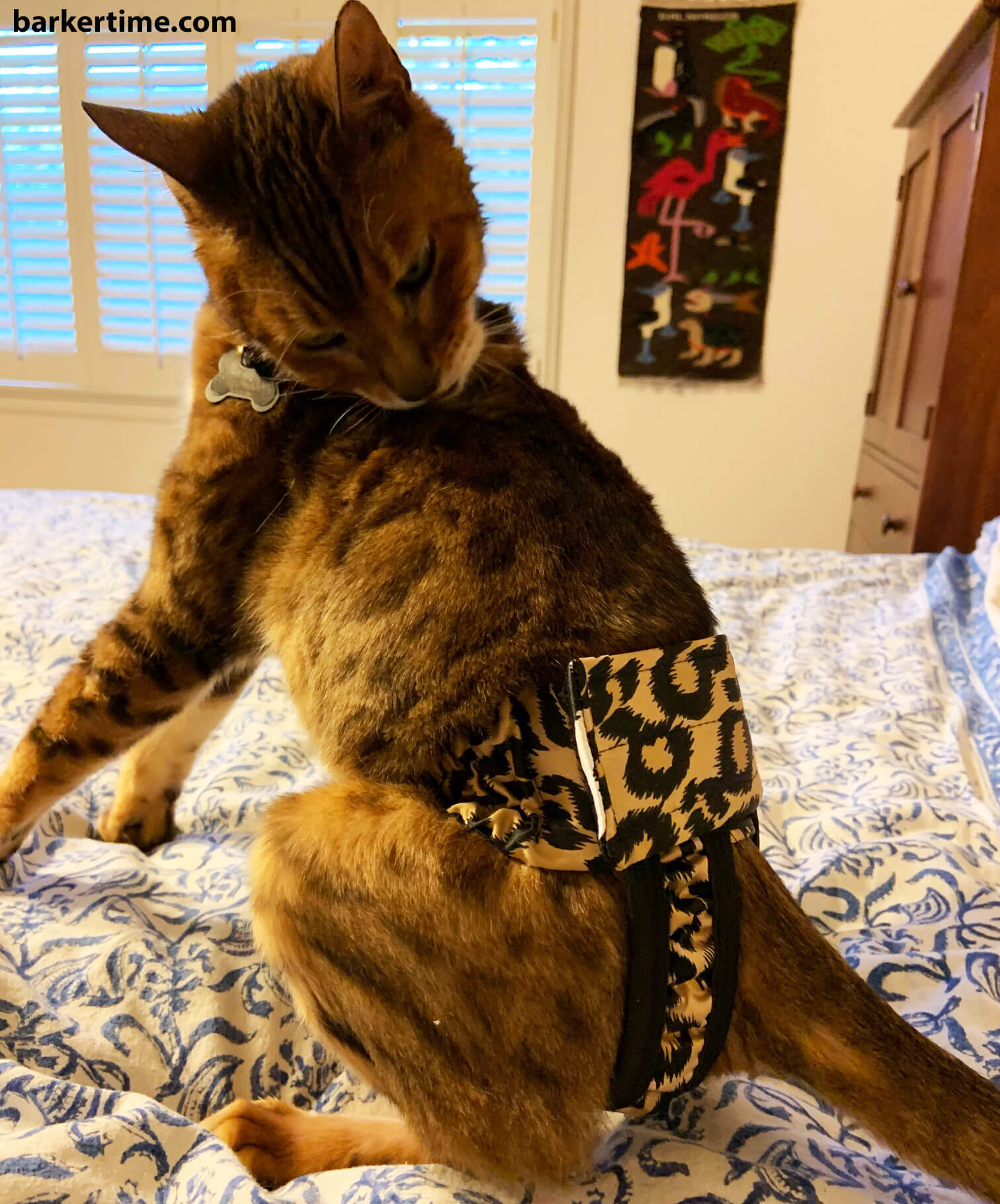 Leopard Washable Cat Diaper Pull-up