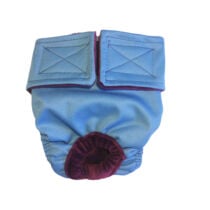 Baby Blue    Dog Diaper