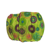 Green Kiwi  Dog Belly Band