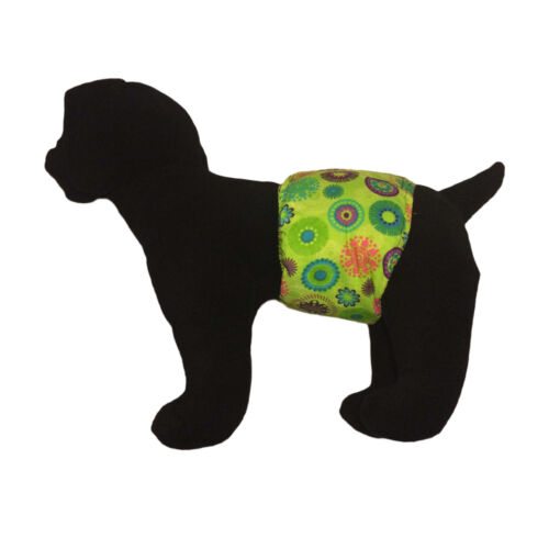 green-kiwi-belly-band-model-1 green-kiwi-belly-band-model-1