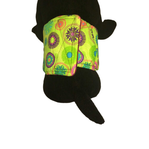 green-kiwi-belly-band-model-2 green-kiwi-belly-band-model-2