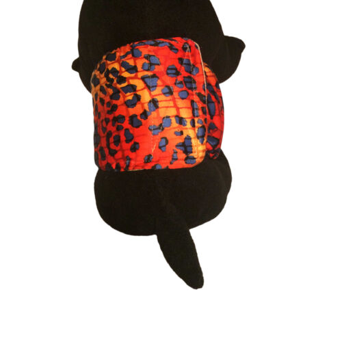 hot-cheetah-belly-band-model-2 hot-cheetah-belly-band-model-2