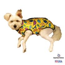 dinosaur-on-yellow-peejama-1