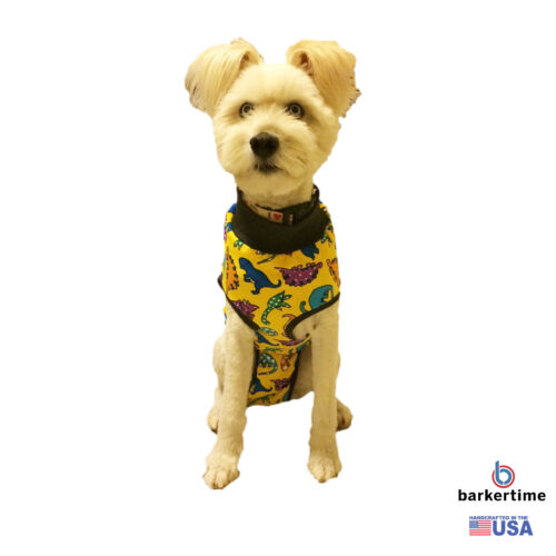 dinosaur-on-yellow-peejama-2 dinosaur-on-yellow-peejama-2