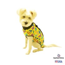 Dinosaur on Yellow PeeJama