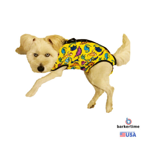 dinosaur-on-yellow-peejama-5 dinosaur-on-yellow-peejama-5