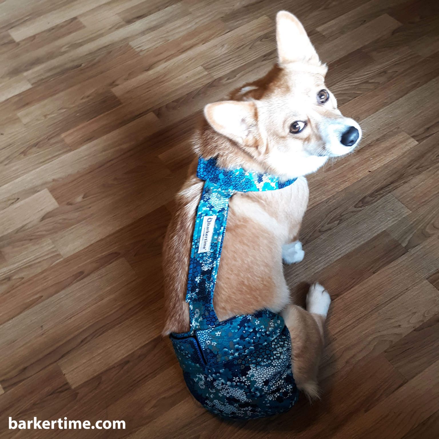 Barkertime Autumn Leaves Waterproof Premium Dog Diaper