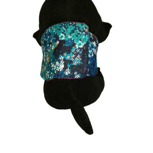 turquoise-belly-band-model-2 turquoise-belly-band-model-2