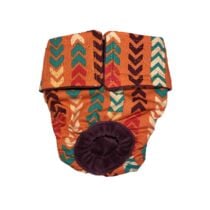 Arrow on Orange   Dog Diaper