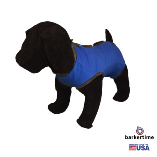 royal-blue-peejama-model-3 royal-blue-peejama-model-3