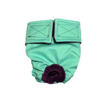 Teal    Dog Diaper