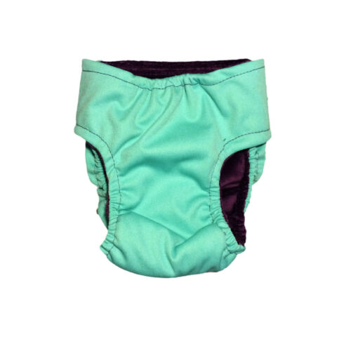 teal-pul-diaper-back teal-pul-diaper-back