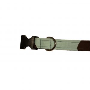 Brown Polka Dot on Light Blue Dog Collar