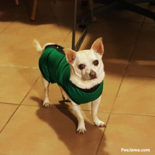 chrystel barron - barkertime chrystel barron - barkertime