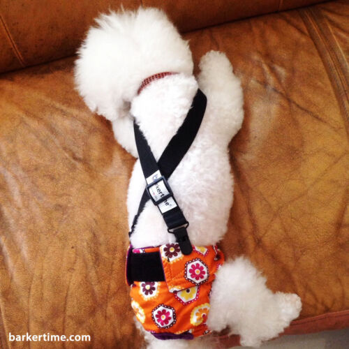 lily 1 - barkertime lily 1 - barkertime