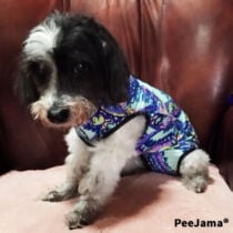 maggie 1 – peejama peejama dog recovery suit onesie