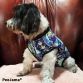 peejama dog recovery suit onesie