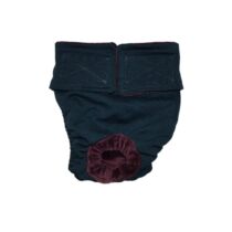 Teal   Cat Diaper
