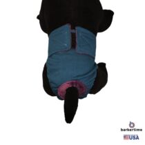 teal diaper – model 2