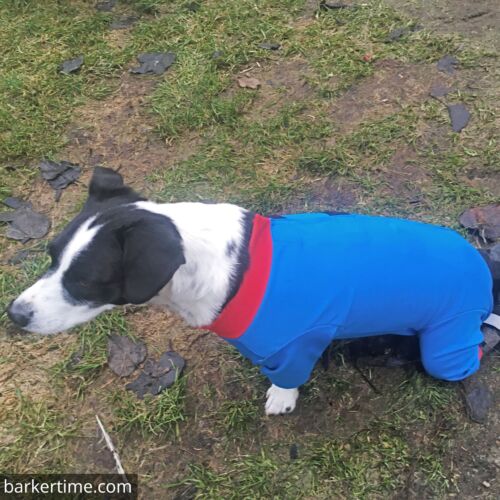 Snoopy - Takaya 3 - barkertime Snoopy - Takaya 3 - barkertime