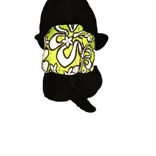 white hawaiian hibiscus on lime green belly band - model 2 white hawaiian hibiscus on lime green belly band - model 2