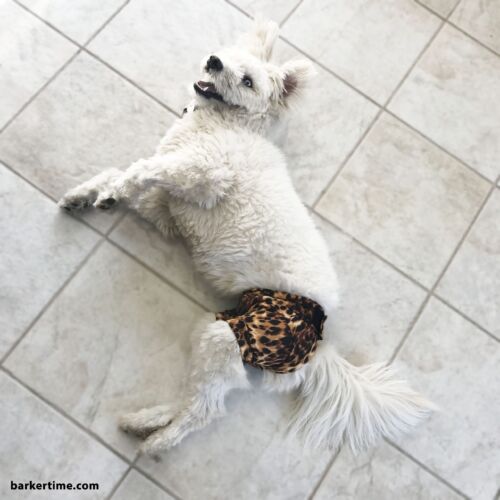 cheetah diaper pants - model 2 cheetah diaper pants - model 2