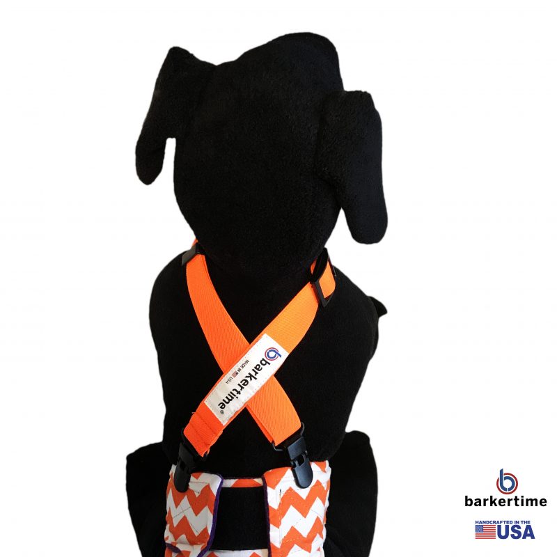 Neon Orange Adjustable Suspender to Keep Dog Diapers On