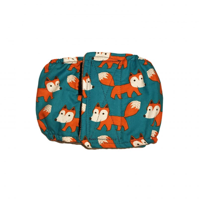 Orange Fox on Teal  Dog Belly Band