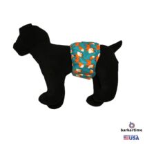 orange fox on teal belly band – model 1