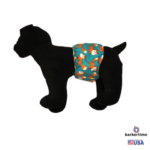 orange fox on teal belly band - model 1 orange fox on teal belly band - model 1