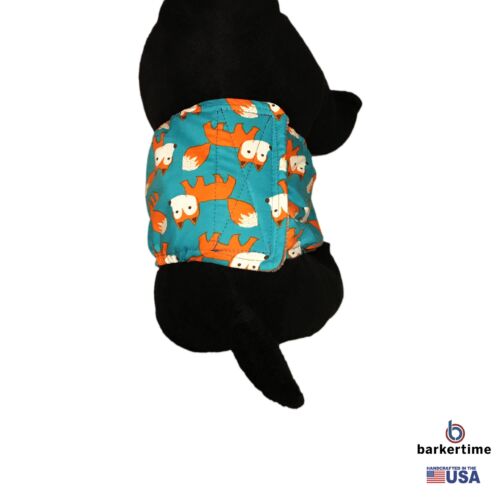 orange fox on teal belly band - model 2 orange fox on teal belly band - model 2