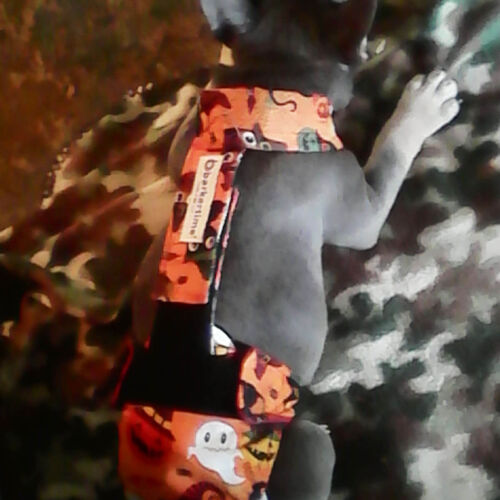 Titus - mitchem 1 - barkertime french bulldog dog diaper