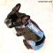 french bulldog diaper