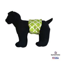 white quatrefoil on green belly band – model 1