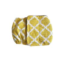 White Quatrefoil on Yellow Dog Belly Band