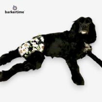 Spaniel cocker dog diaper